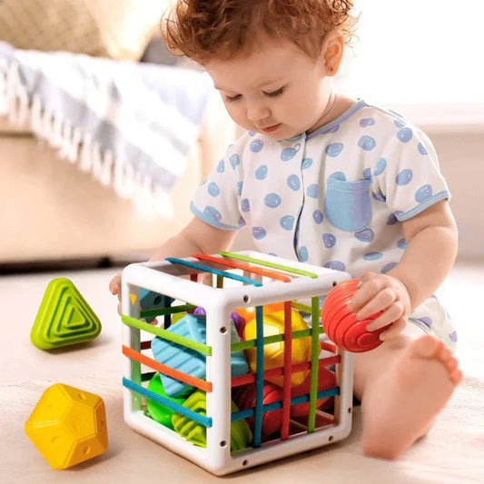 Merco Box - Educational Box