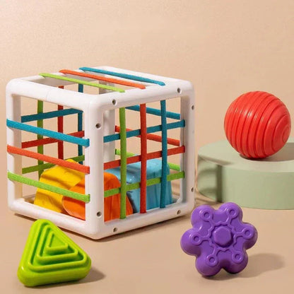Merco Box - Educational Box