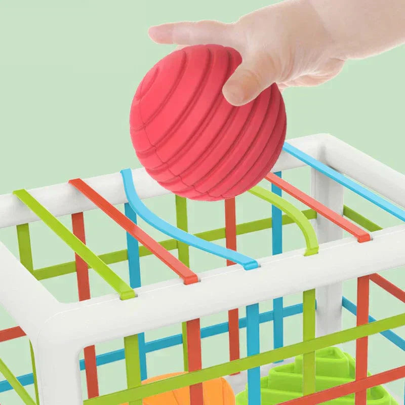 Merco Box - Educational Box