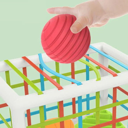 Merco Box - Educational Box