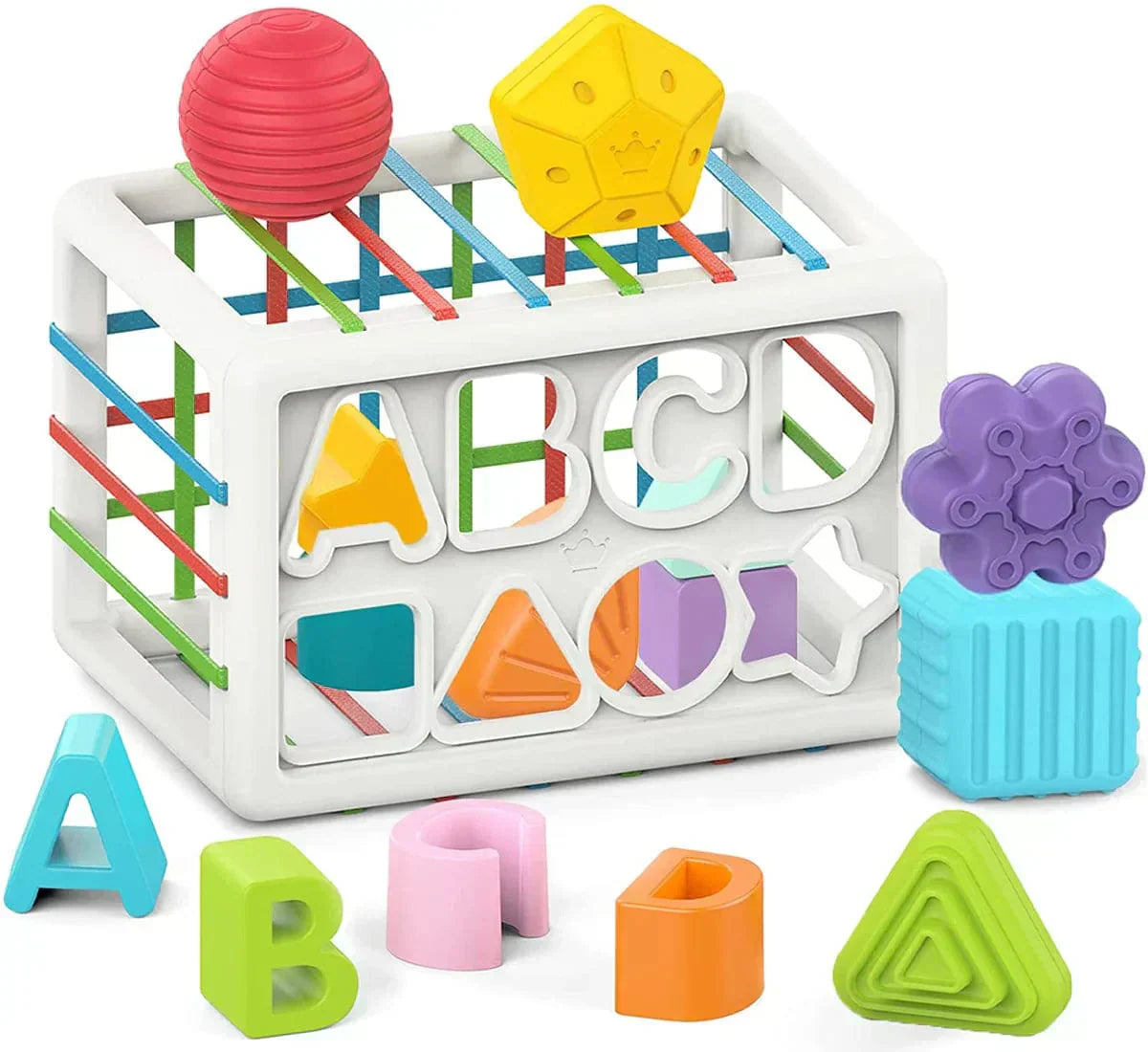 Merco Box - Educational Box