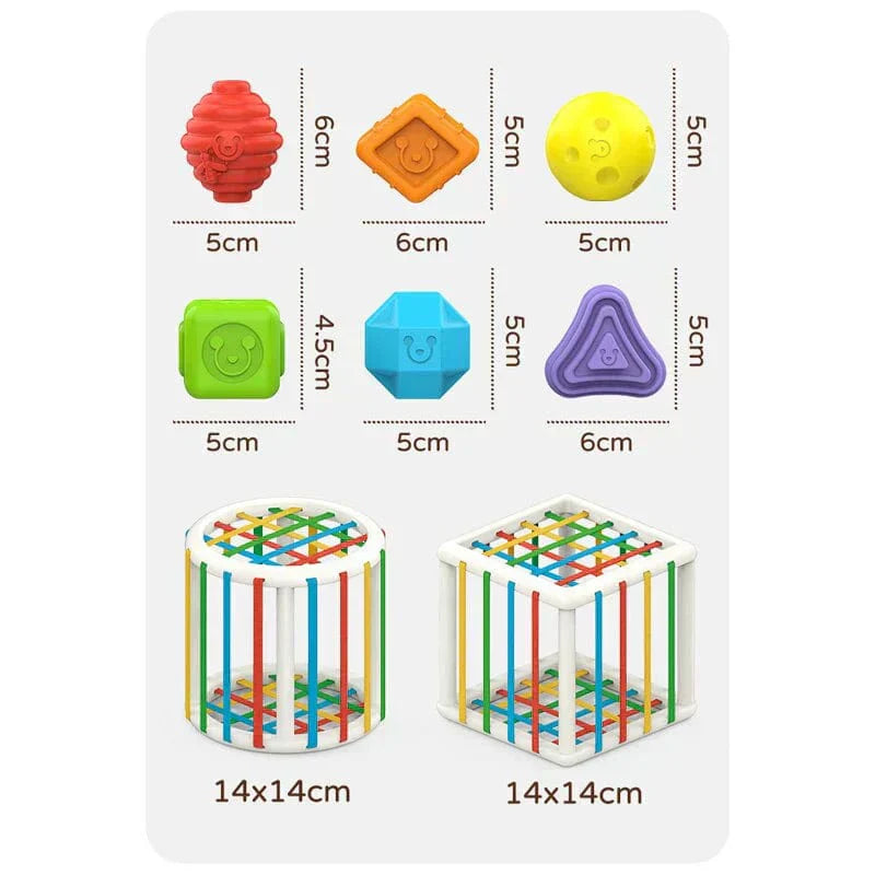 Merco Box - Educational Box