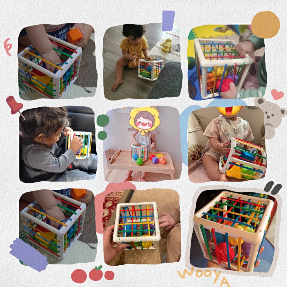 Merco Box - Educational Box
