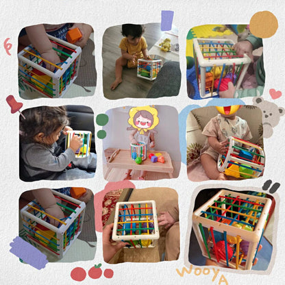 Merco Box - Educational Box